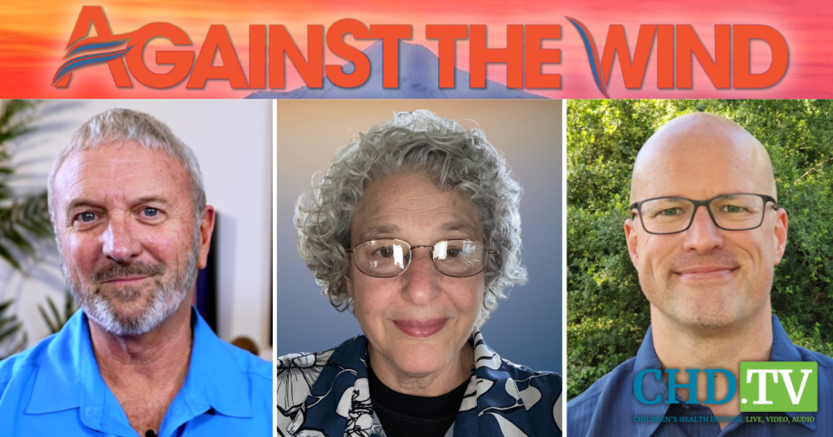 Hearing Debrief With Meryl Nass, M.D. + Israeli Ministry of Health Safety Data Leak