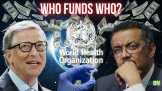 Who Funds the WHO? A Closer Look Behind the World Health Organization’s Budget
