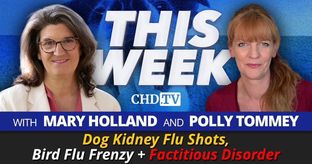 Dog Kidney Flu Shots, Bird Flu Frenzy + Factitious Disorder