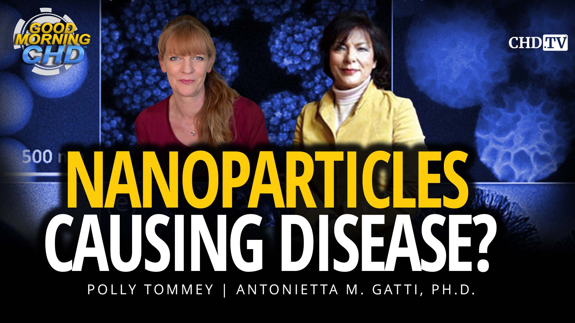Nanoparticles Causing Disease?