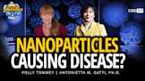 Nanoparticles Causing Disease?