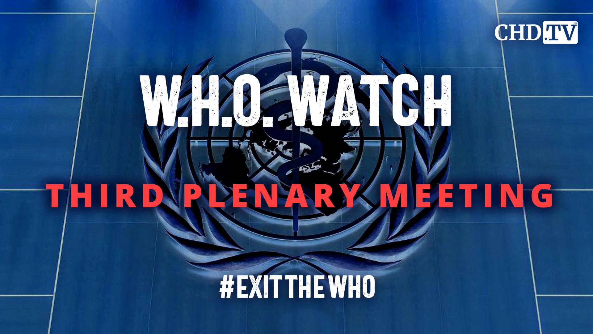 Third Plenary Meeting