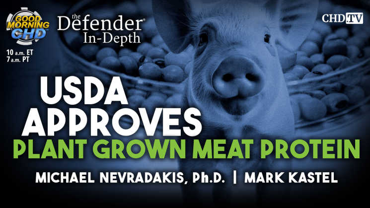 USDA Approves Plant Grown Meat Protein