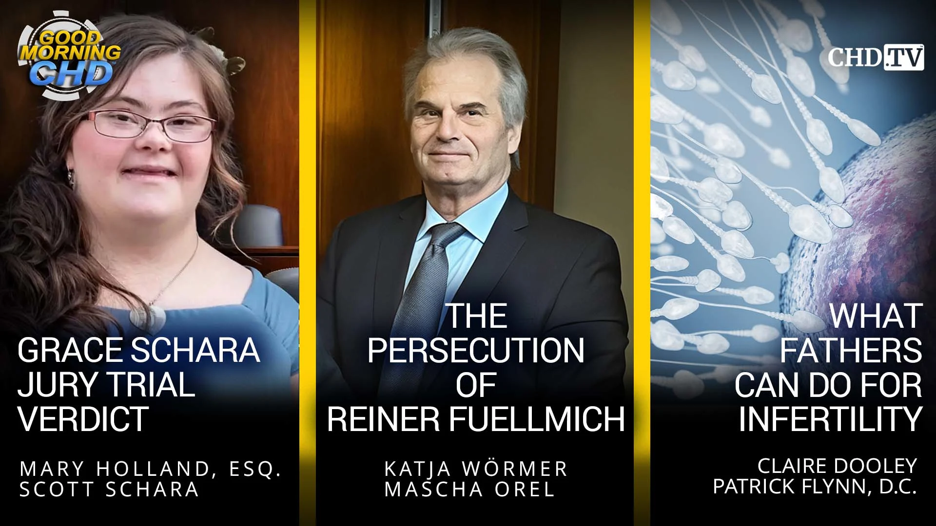 Grace Schara Jury Trial Verdict + The Persecution of Reiner Fuellmich  + What Fathers Can Do For Infertility