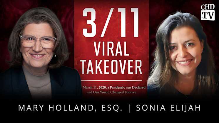 3/11 A Viral Takeover - Sonia Elijah