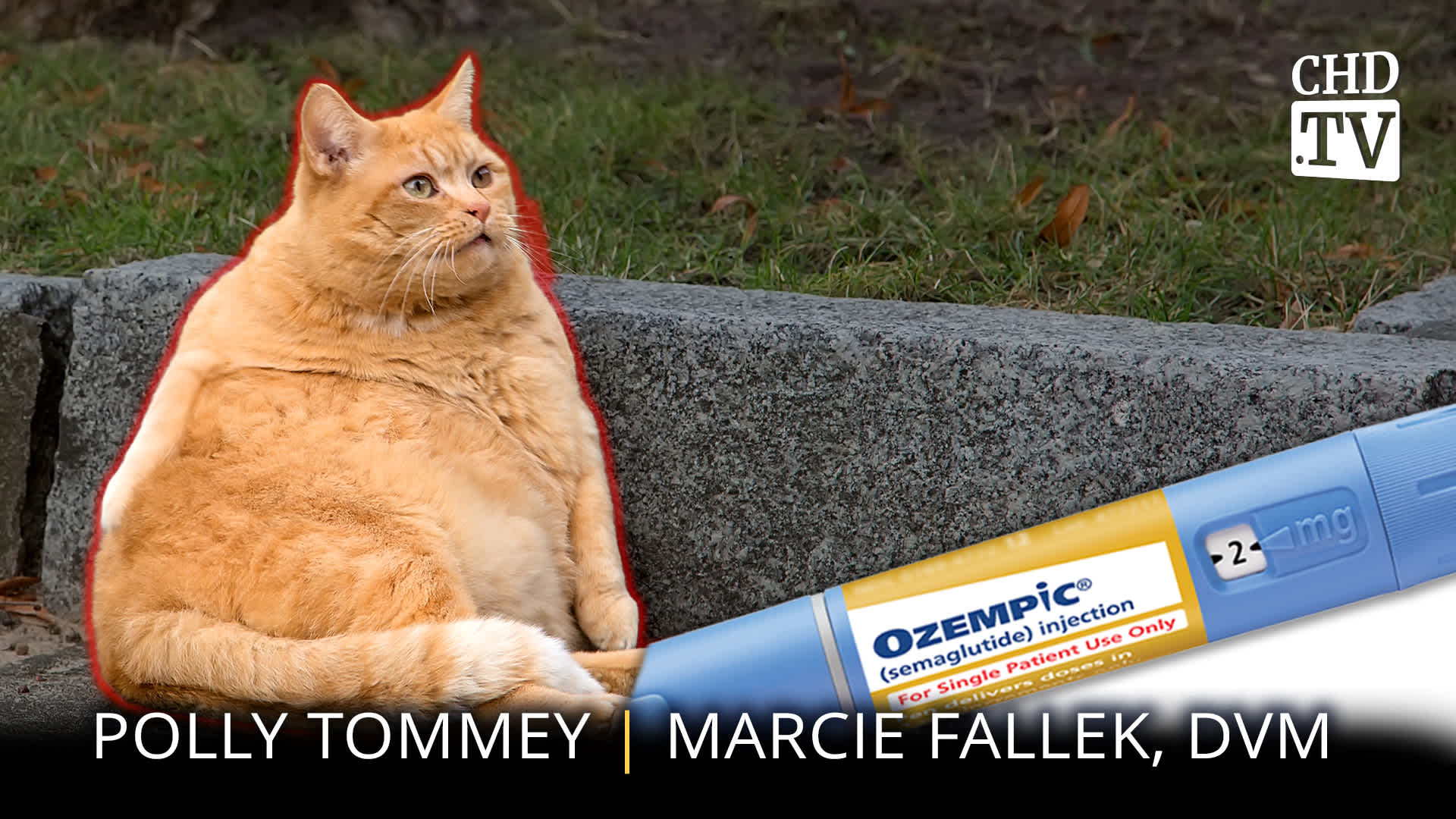 Ozempic For Pets - Marcie Fallek, DVM