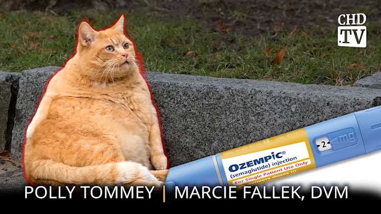 Ozempic For Pets - Marcie Fallek, DVM