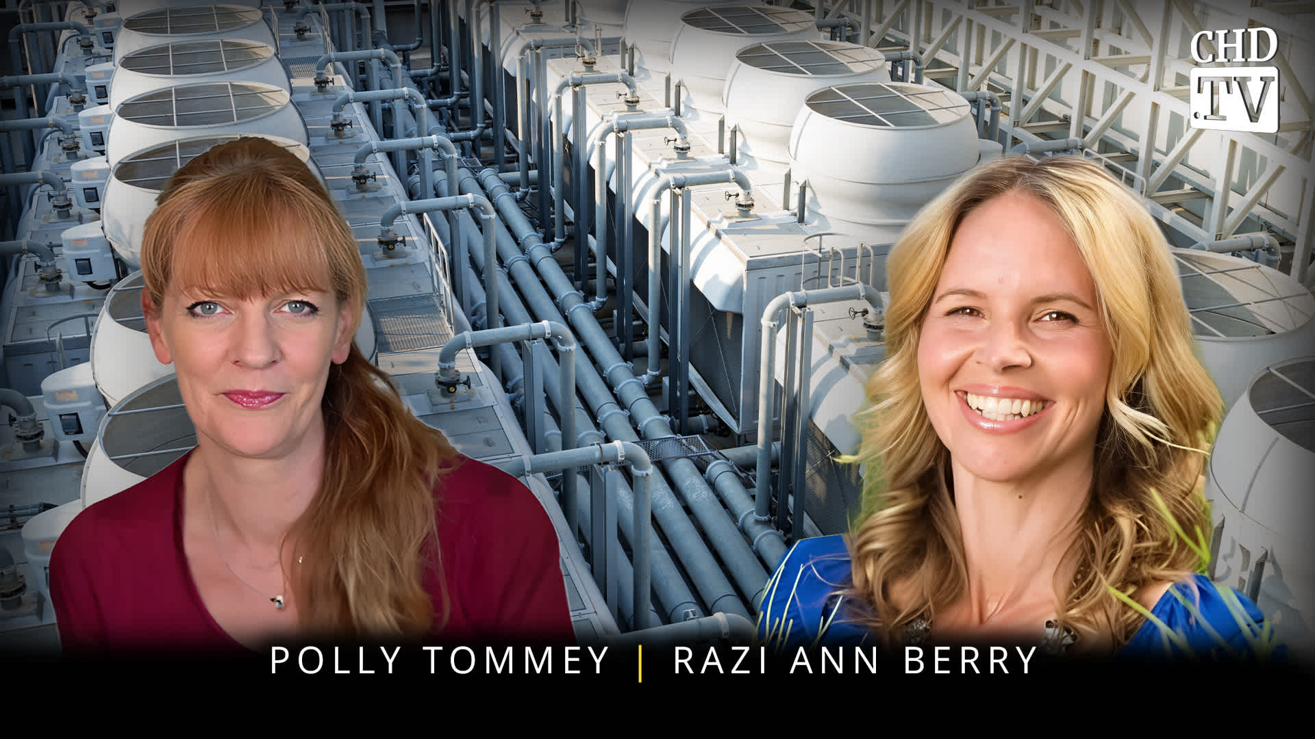 Data Centers Are Not Clean Tech - Razi Ann Berry