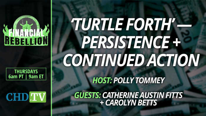 ‘Turtle Forth’ — Persistence + Continued Action