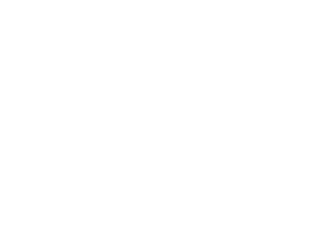 The Defender Show