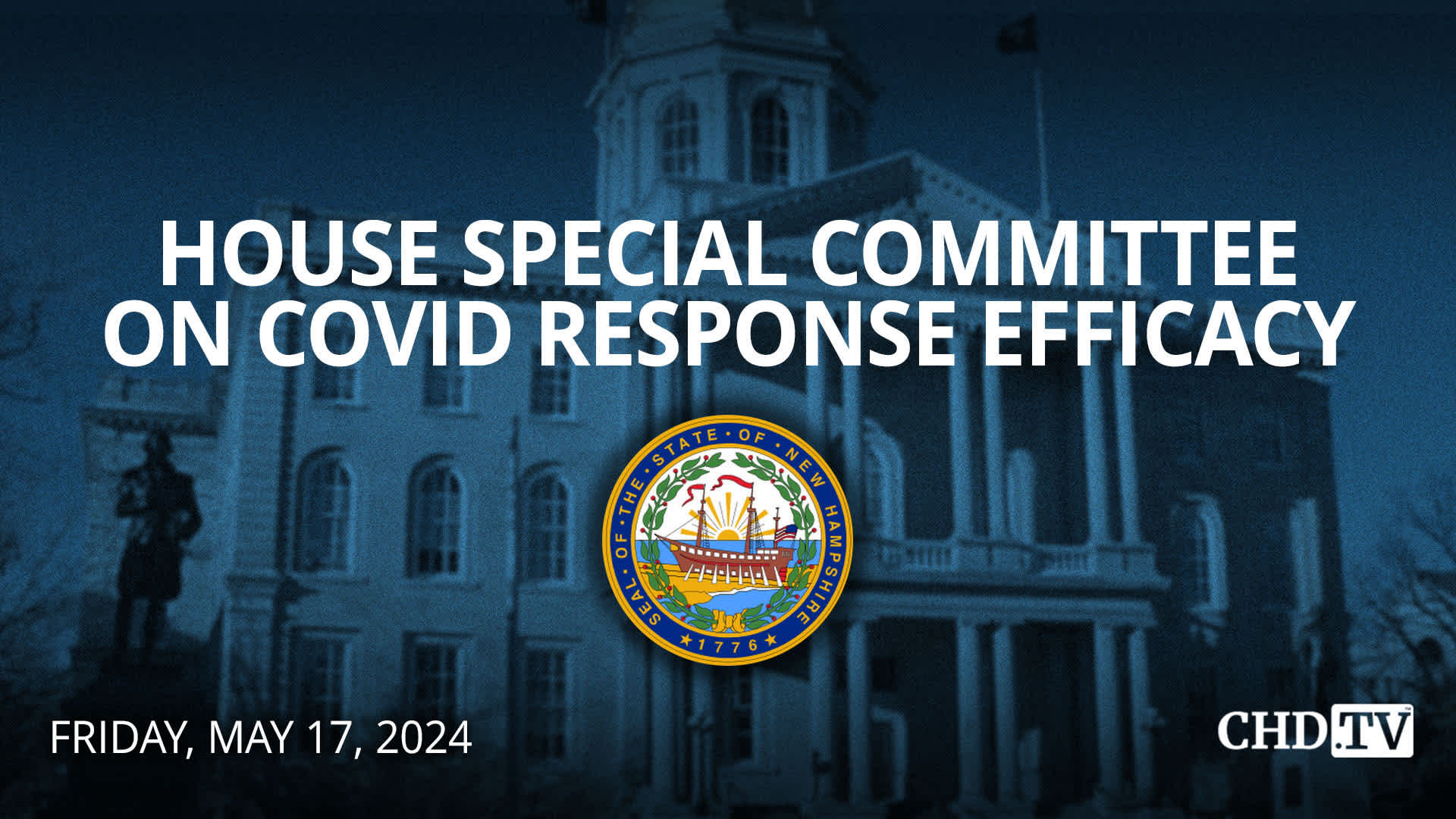 NH House Special Committee on COVID Response Efficacy | May 16 | Part 2