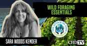 Wild Foraging Essentials — Sara Woods Kender
