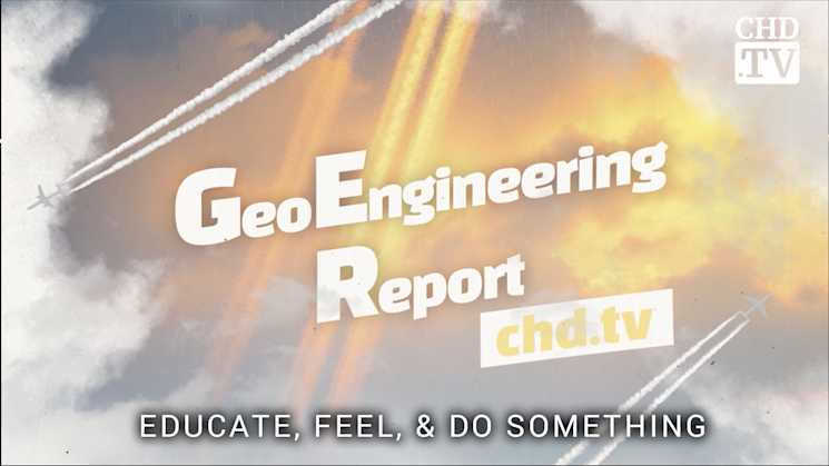 Educate, Feel, & Do Something