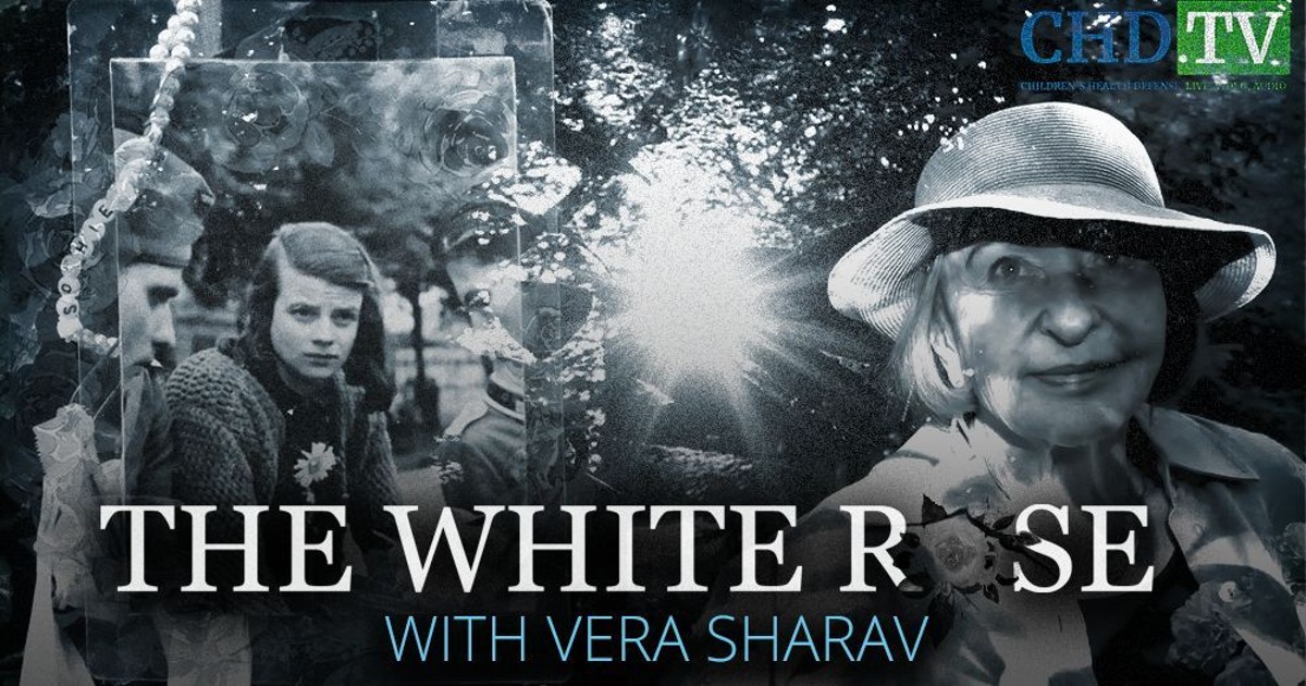 The White Rose — A Short Film With Vera Sharav