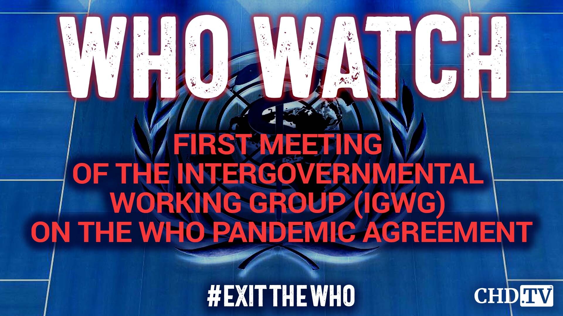 First Meeting of the Intergovernmental Working Group (IGWG) on the WHO Pandemic Agreement | Day 2