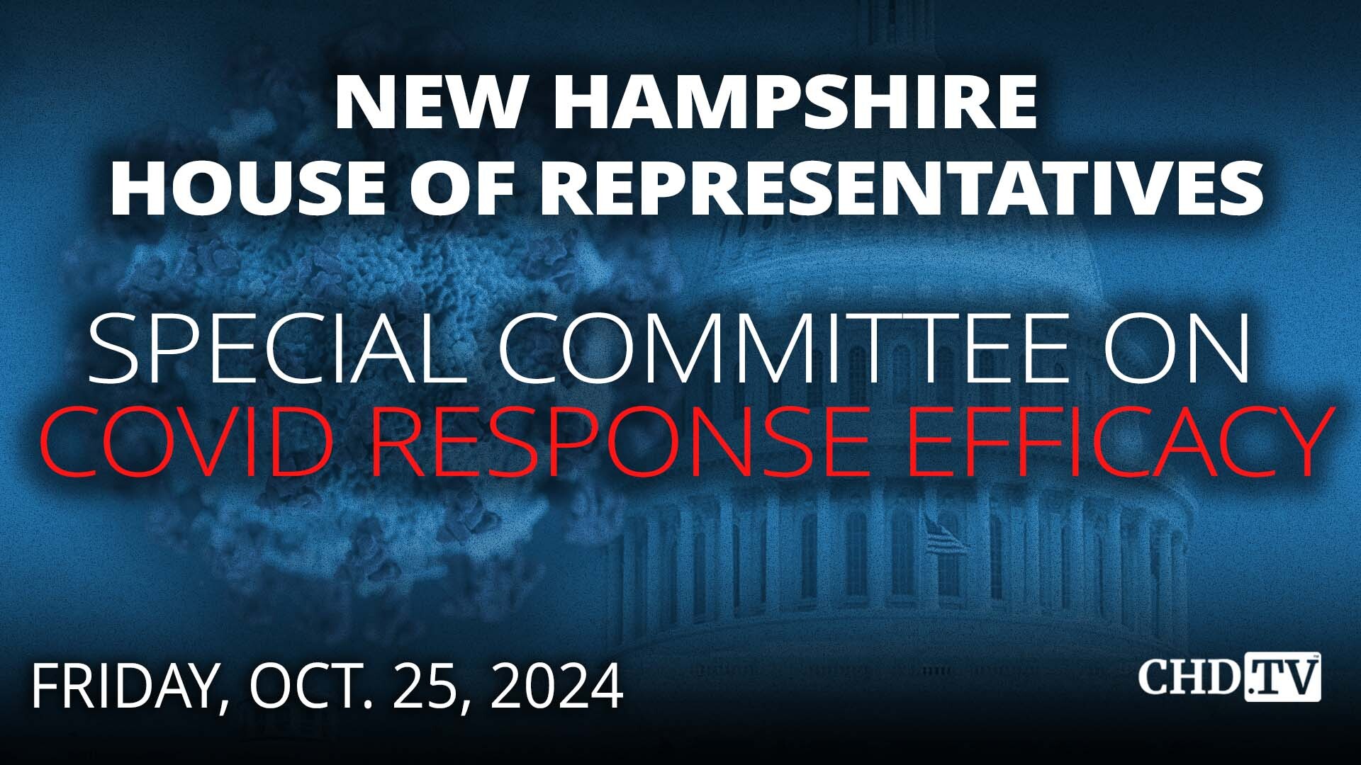 NH House Special Committee on COVID Response Efficacy | Oct. 25