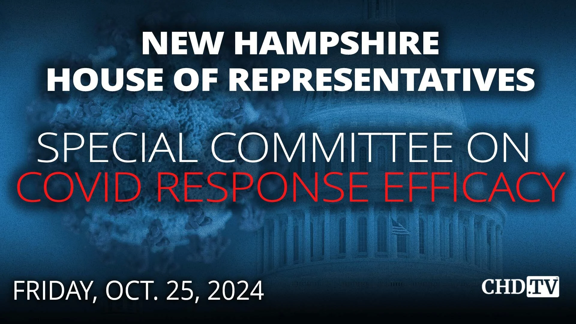 NH House Special Committee on COVID Response Efficacy | Oct. 25