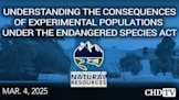 Understanding the Consequences of Experimental Populations Under the Endangered Species Act