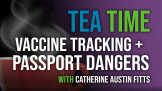 Vaccine Tracking Systems + Passport Dangers With Catherine Austin Fitts