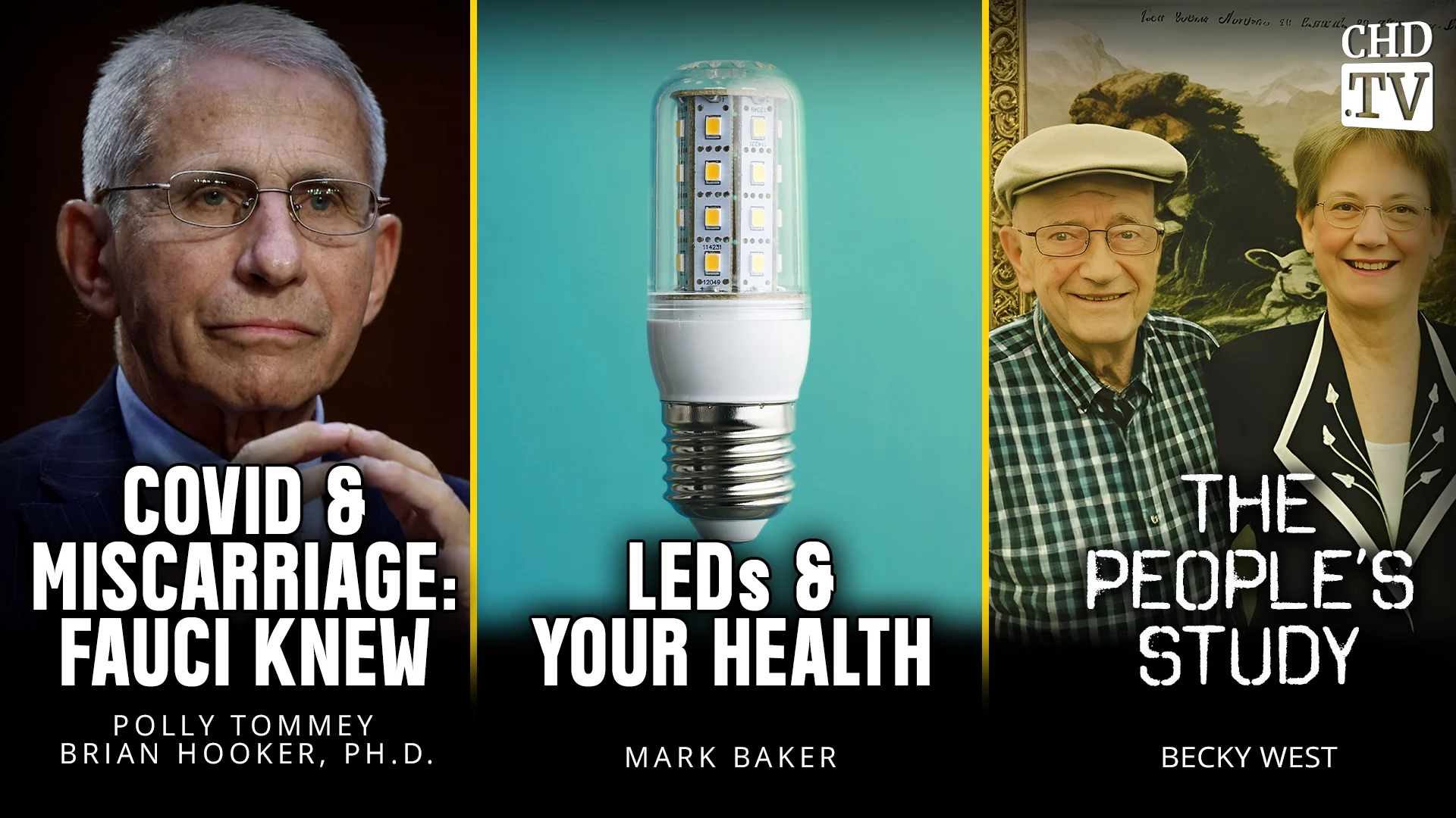 COVID & Miscarriage: Fauci Knew + LEDs & Your Health + The People's Study