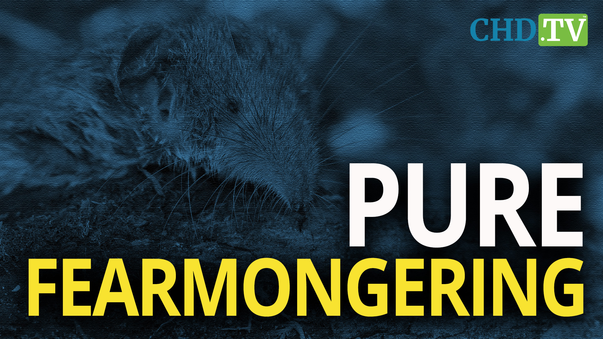 ‘Pure Fearmongering’: Scientists Warn of COVID-like ‘Langya’ Virus Spillover from Shrews #ShrewFlu