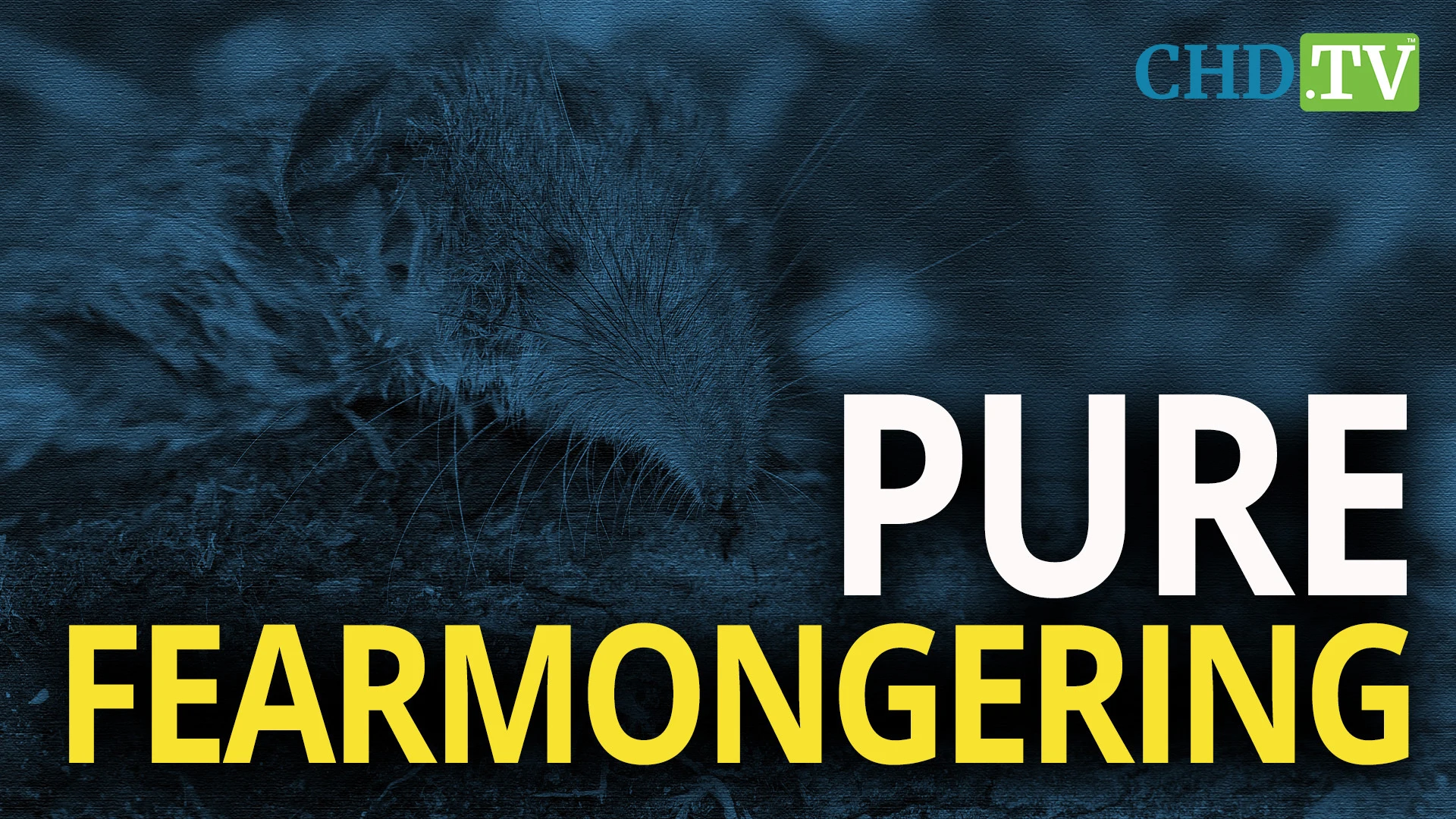 ‘Pure Fearmongering’: Scientists Warn of COVID-like ‘Langya’ Virus Spillover from Shrews #ShrewFlu