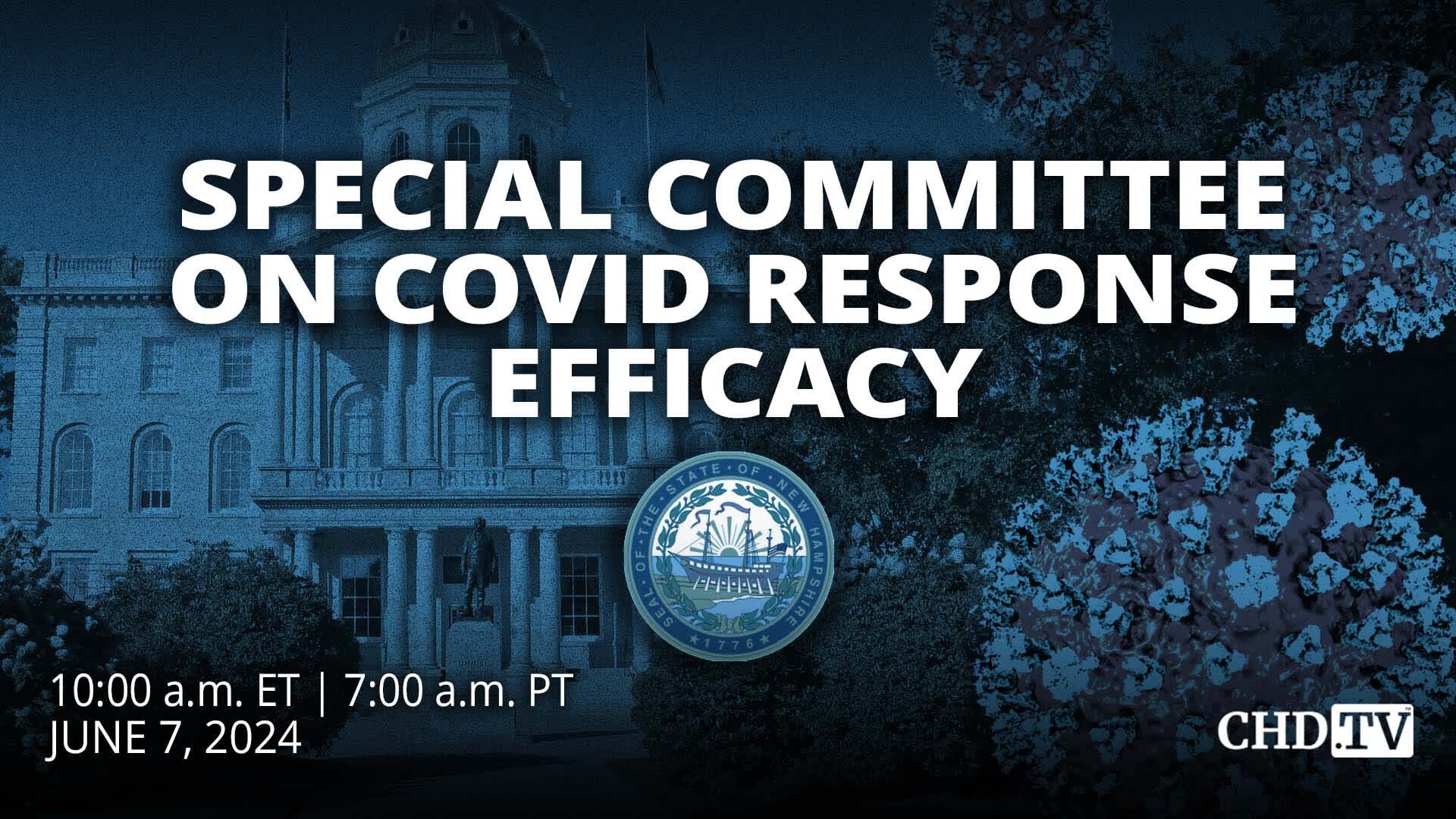 NH House Special Committee on COVID Response Efficacy | June 7