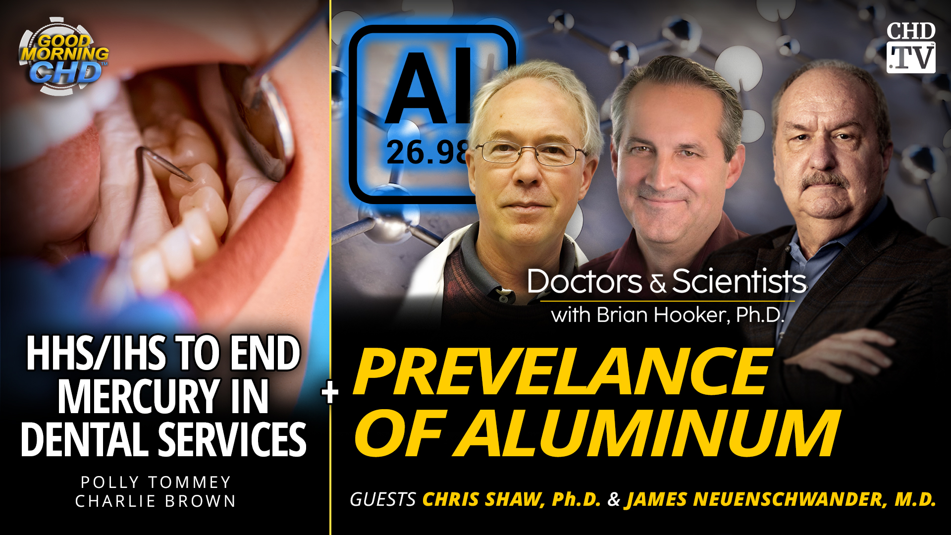 HHS/IHS to End Mercury Dental Use + Prevalence of Aluminum