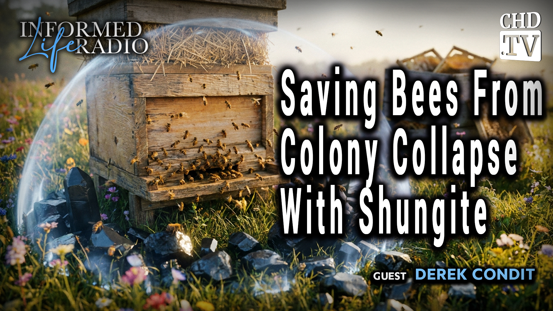 Saving Bees From Colony Collapse With Shungite