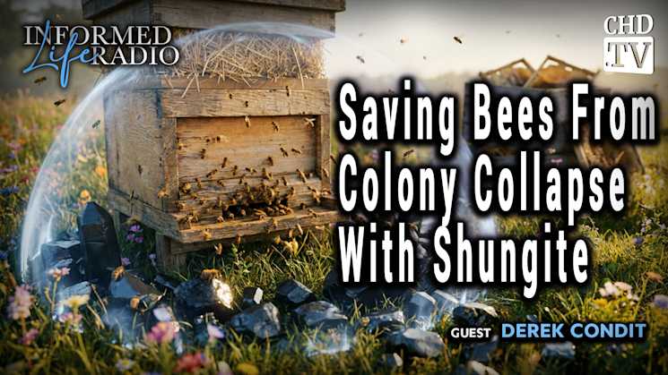 Saving Bees From Colony Collapse With Shungite