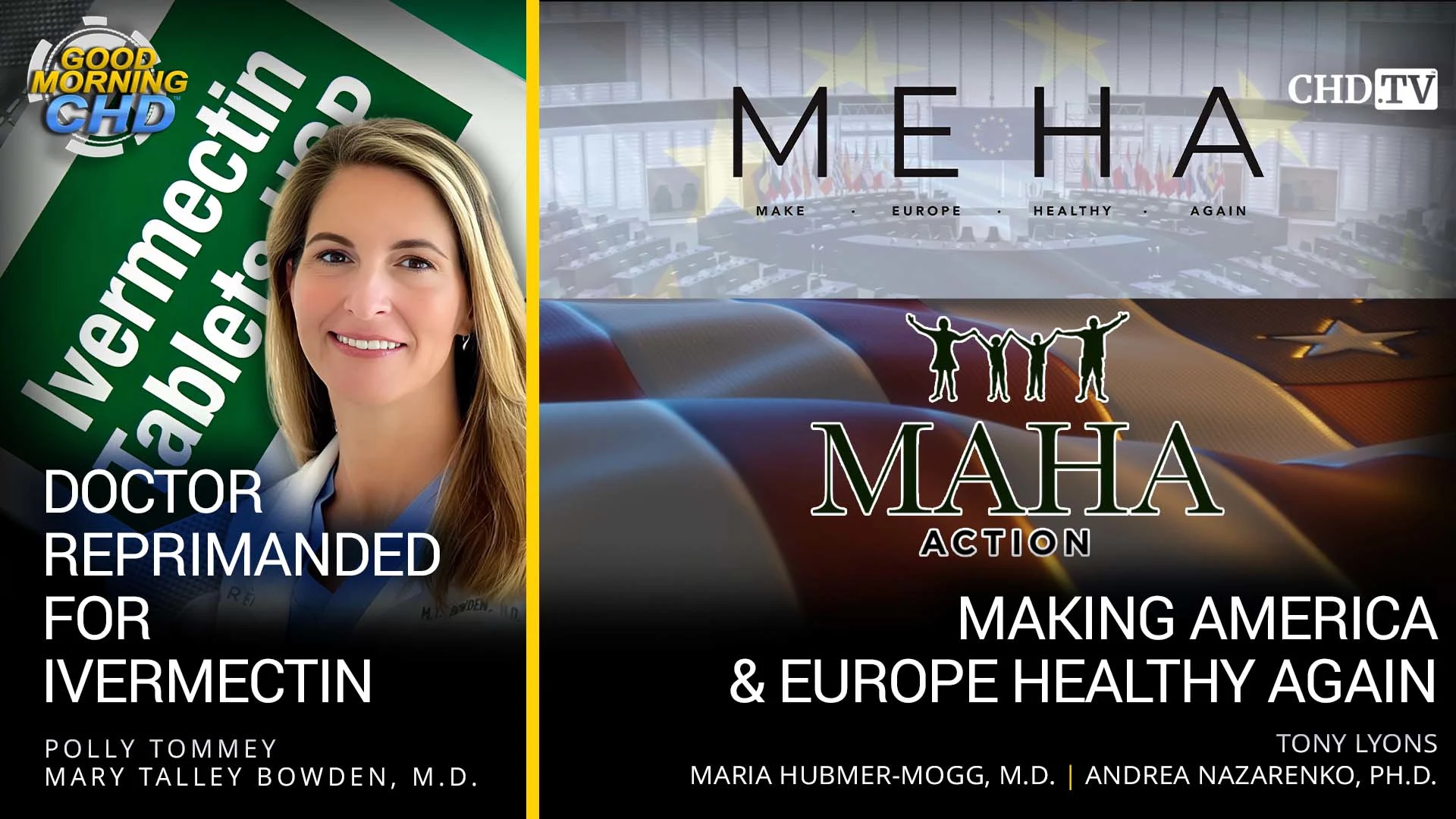 Doctor Reprimanded for Ivermectin + Making America & Europe Healthy Again