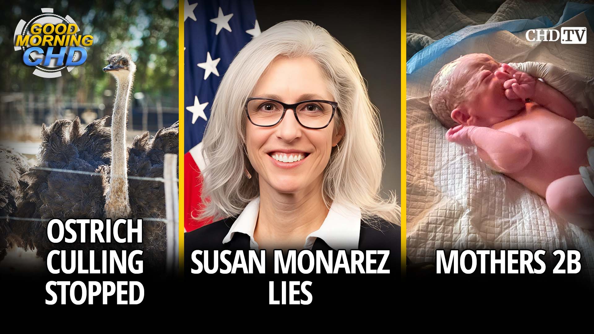 Ostrich Culling Stopped + Susan Monarez Lies + Mothers 2B