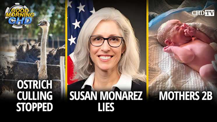 Ostrich Culling Stopped + Susan Monarez Lies + Mothers 2B