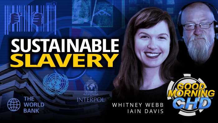 Sustainable Slavery: The UN + Digital ID With Whitney Webb