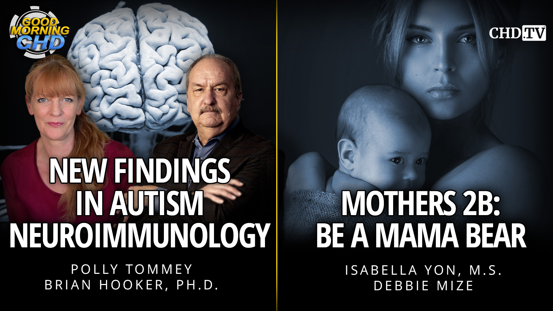 New Findings in Autism Neuroimmunology + Mothers 2B: Be A Mama Bear