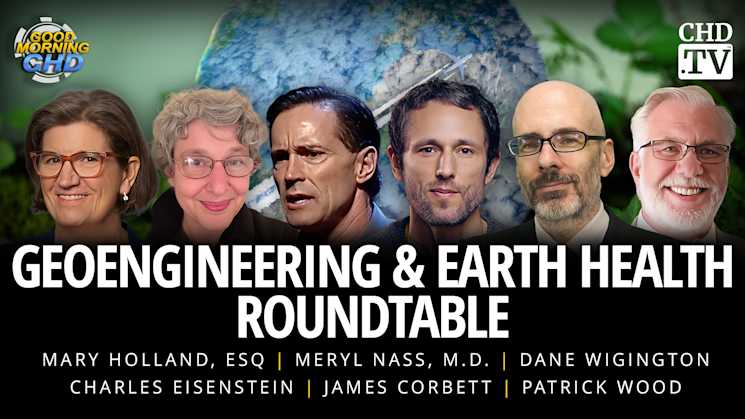 Geoengineering & Earth Health Roundtable