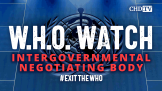 WHO WATCH Intergovernmental Negotiating Body (INB)