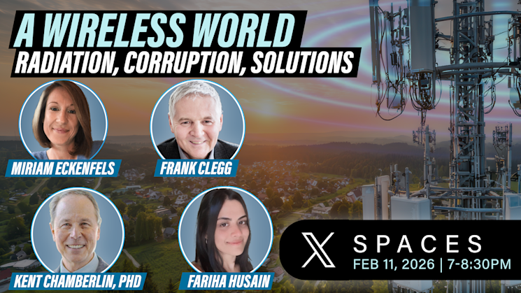 A Wireless World - Radiation, Corruption, Solutions - X Spaces