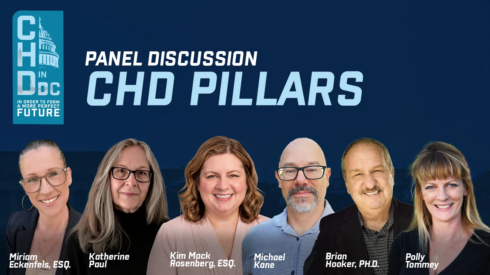 CHD Pillars Panel