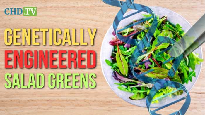 “Be Aware!” - Genetically Engineered Salad Greens Are Entering the Food Supply — and They Won’t Be Labeled
