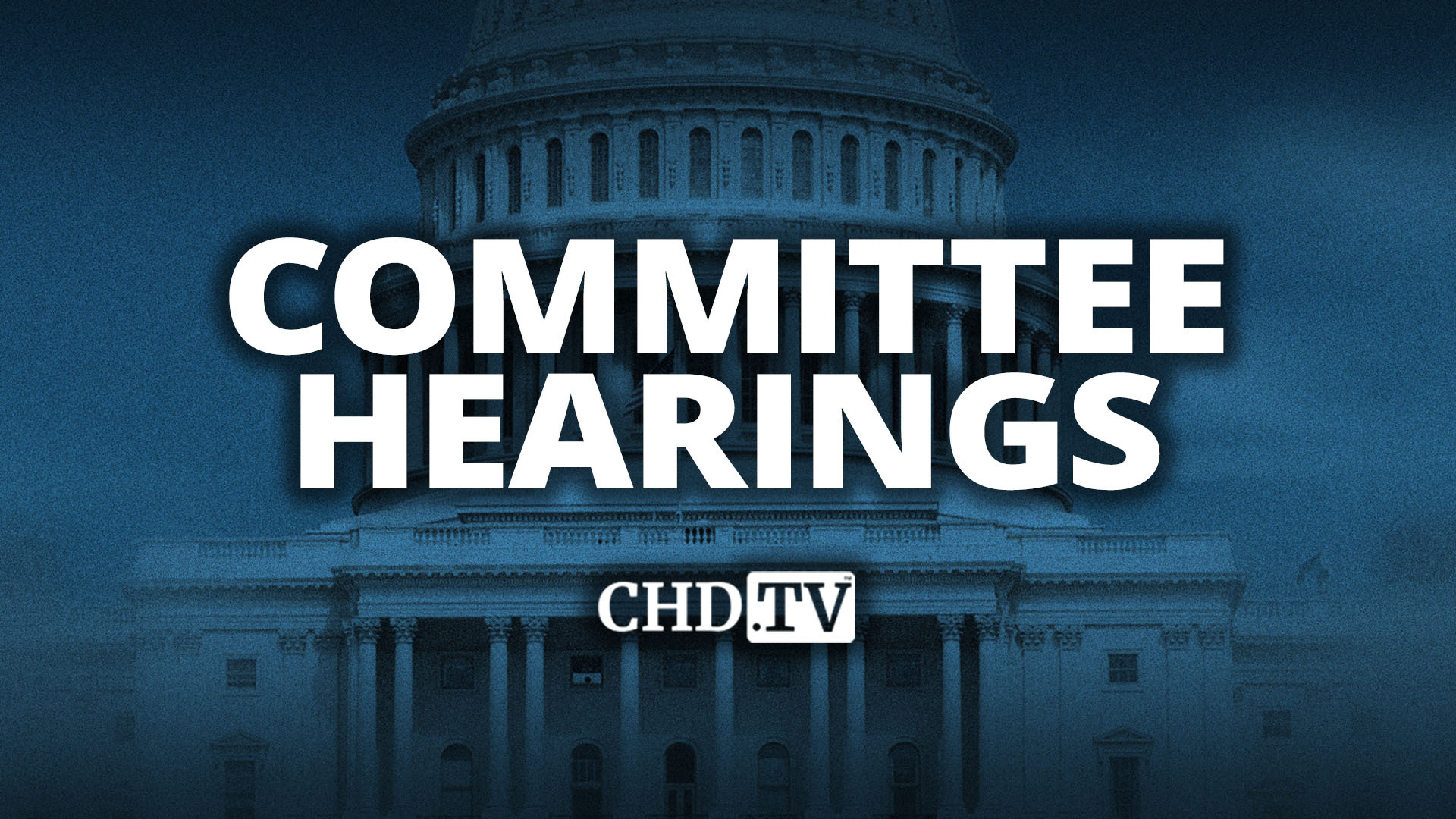 Hearing Entitled: U.S. Treasury Debt in the Monetary System