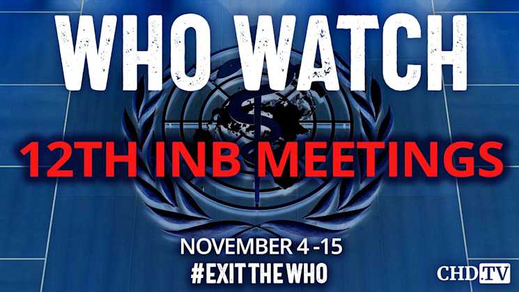 WHO WATCH: 12th Meeting of the INB — Pandemic Agreement | Nov. 4