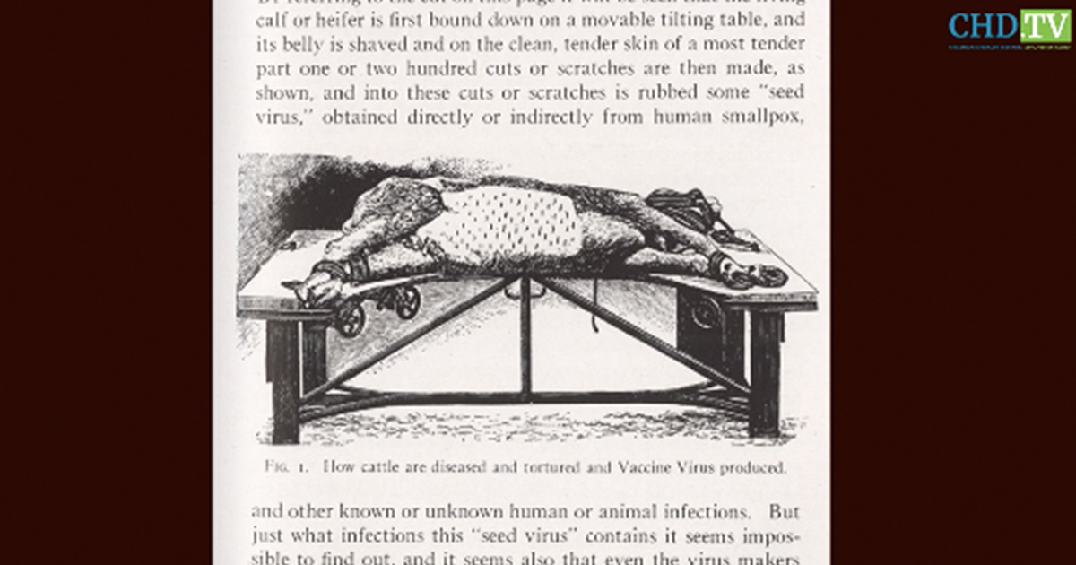 Historical Evidence — Vaccines Never Proven Safe