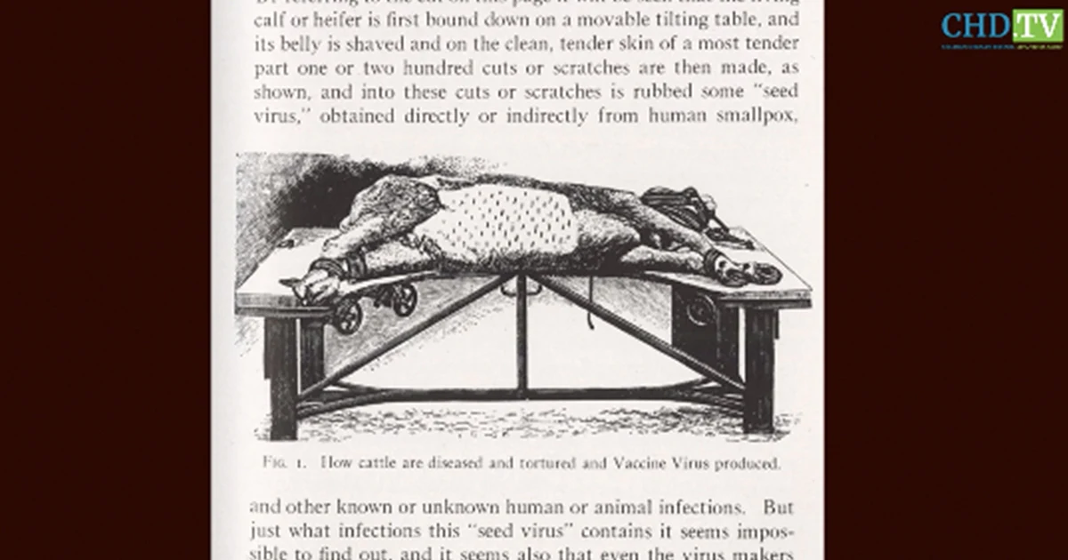 Historical Evidence — Vaccines Never Proven Safe