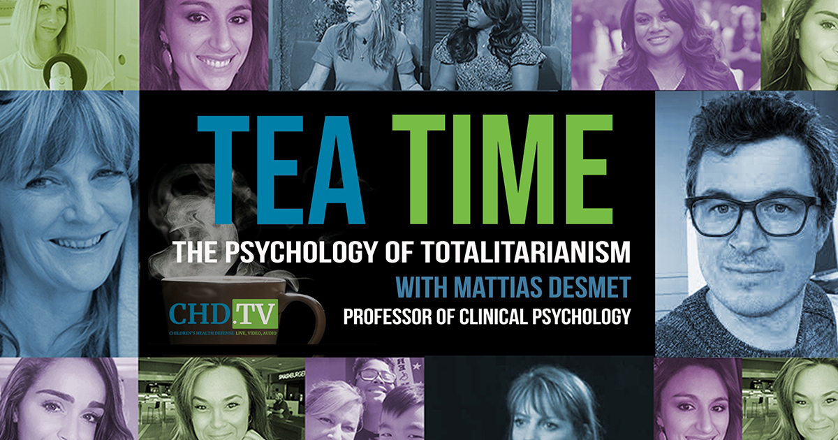 The Psychology of Totalitarianism