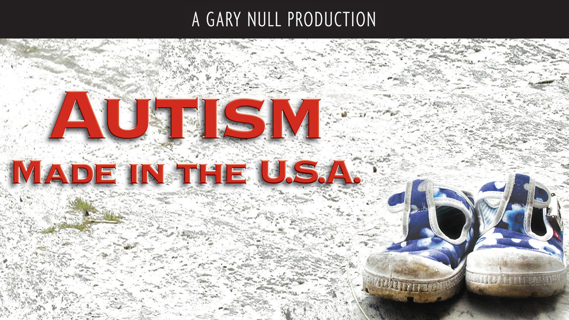 Autism Made In The USA