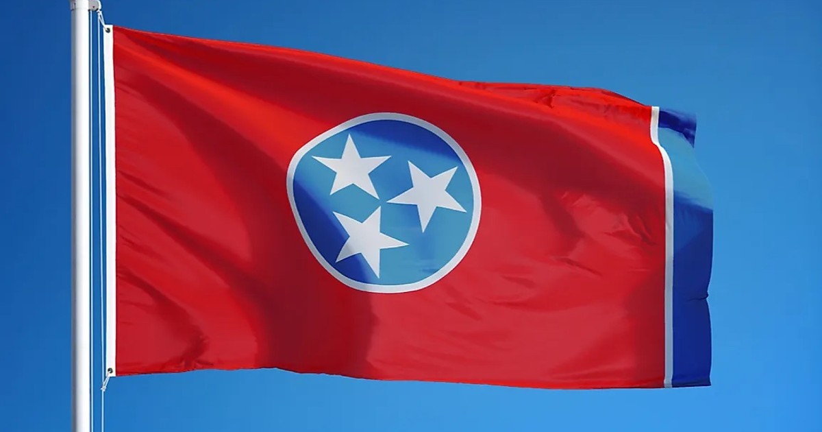 Dr. Robert Malone & Dr. Ryan Cole Testimony