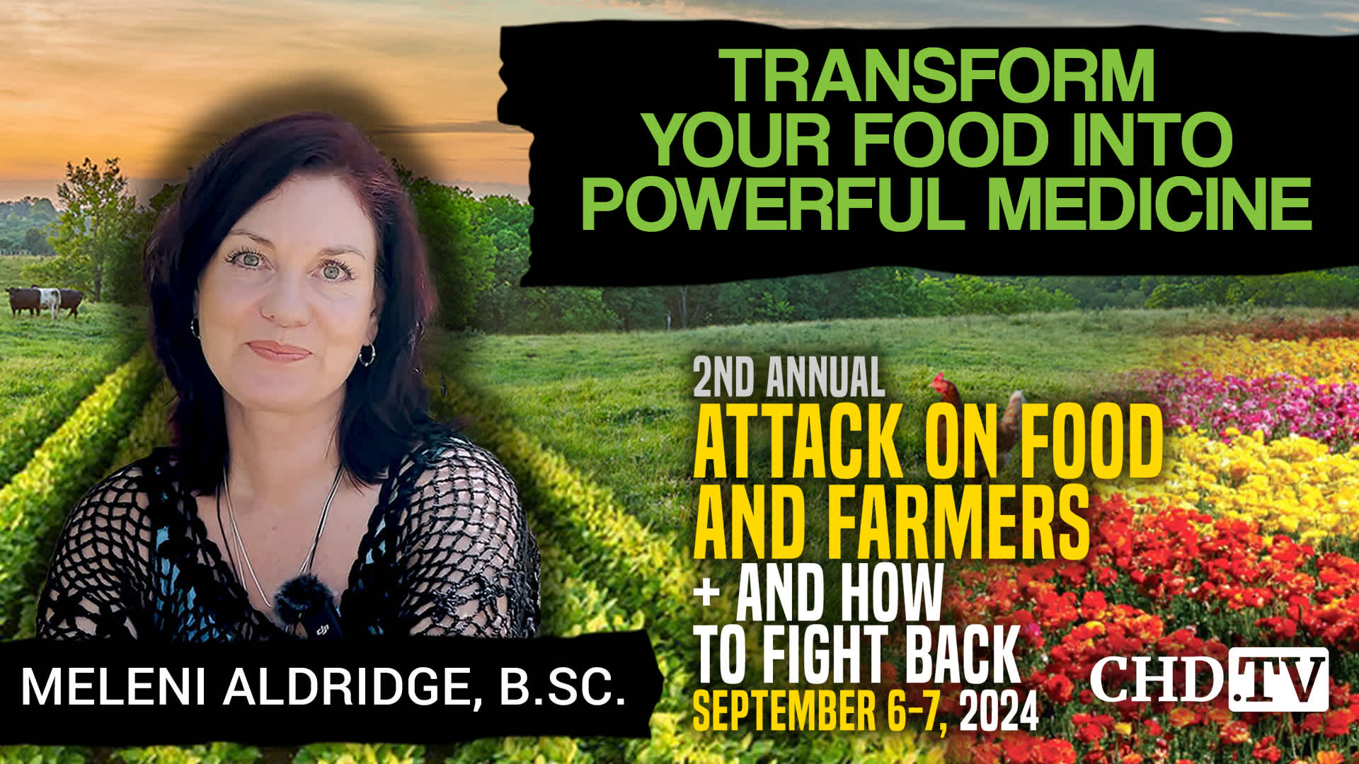 Meleni Aldridge, B.Sc. | Transform Your Food Into Powerful Medicine