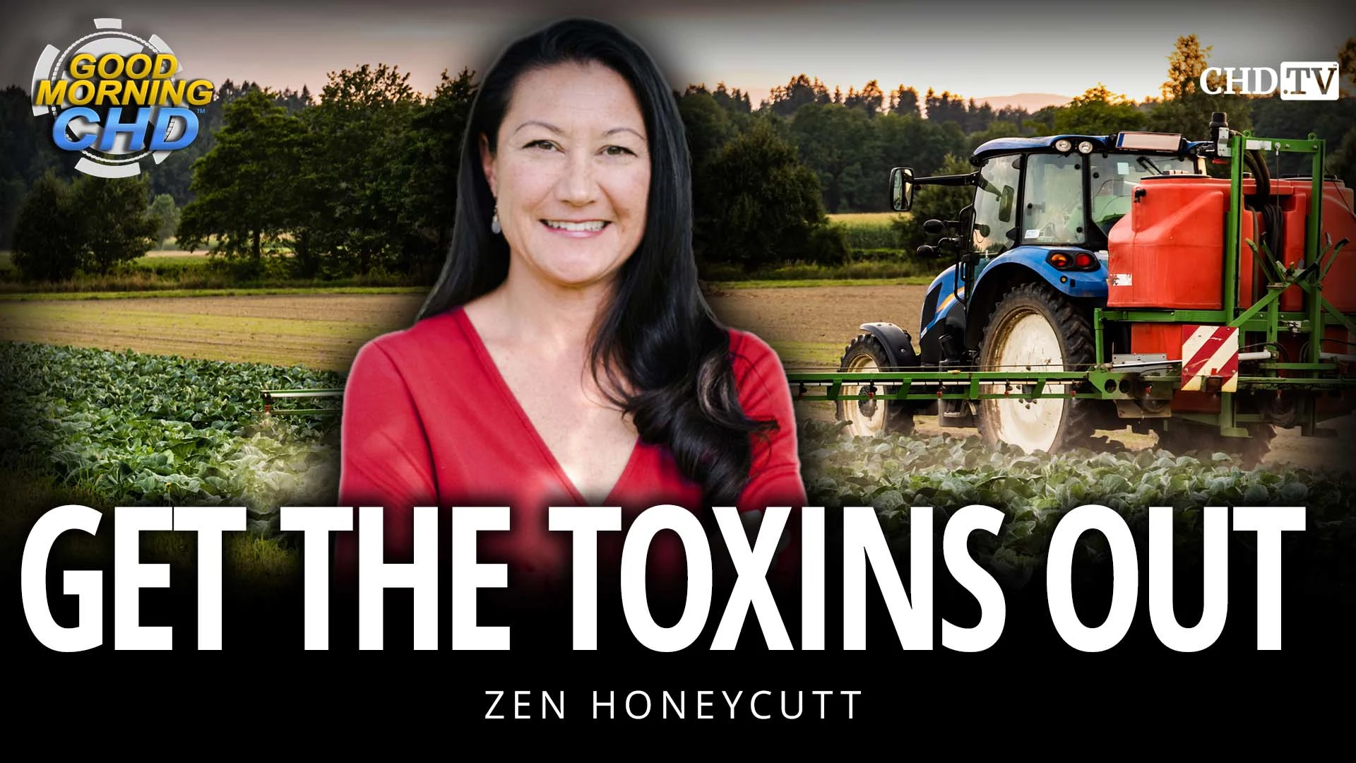 Get the Toxins Out - Zen Honeycutt