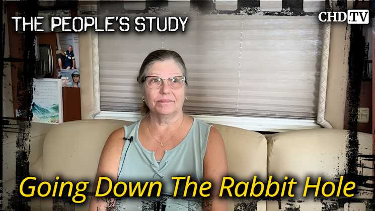 Going Down The Rabbit Hole
